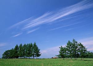 静岡市で信頼の葬儀サービスを提供する富士葬祭 豊田の全て