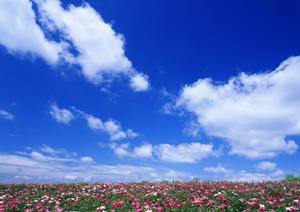 栃木県那須塩原市に新オープン！家族葬のタクセル西朝日町：低価格・安心の家族葬専門斎場