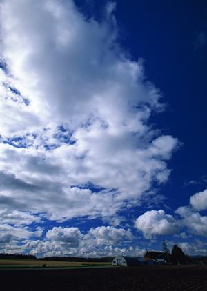 静岡県富士宮市で信頼の葬儀サービスを提供する富士葬祭の詳細と特徴