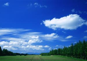 菩薩となり信仰の対象となった日蓮上人