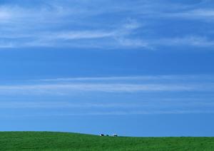 焼津市で選ばれる家族葬専門斎場 – 家族葬のタクセル西焼津の特徴とサービス内容