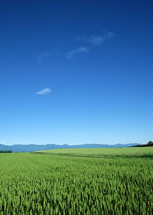 野田市の安心・信頼の葬儀会館【ティア野田】の特徴とサービス詳細