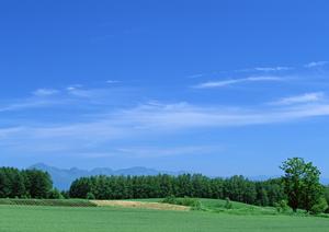 【公式情報から解説】富士葬祭 三園平 – 富士宮市における安心の葬儀サポートと充実の施設内容